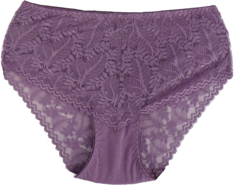 PEŁNE FIGI majtki DAMSKIE WRZOSOWE 4XL 7707 Dorimodes