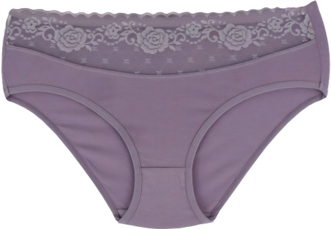 PEŁNE MAJTKI figi DAMSKIE Z KORONKĄ 291 wrzosowe 2XL