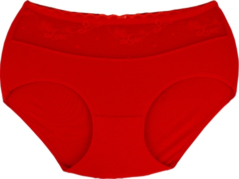 Pełne Majtki Damskie Figi z Wyższym Stanem WISKOZA 4XL czerwone